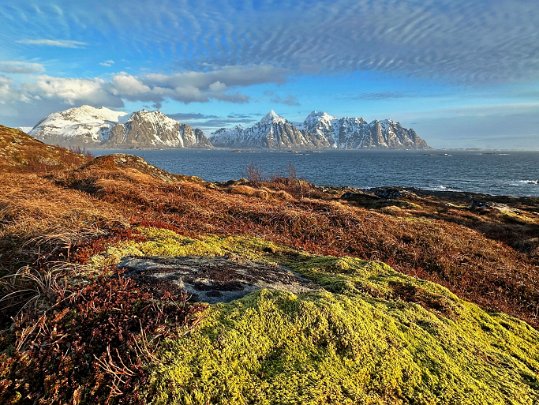 Vestvagøya - Lofoten Nordland - Norvège